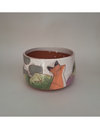Bol renard figue violette