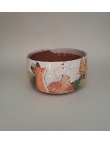 Bol renard champignons