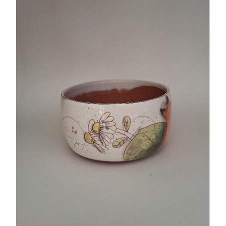 Bol renard champignons