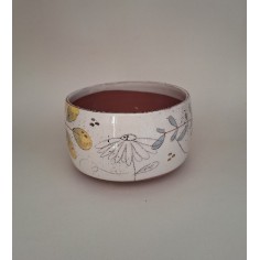 Bol chat champignon 2