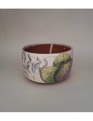 Bol chat figue violette