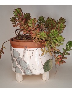 Grand cache pot chat