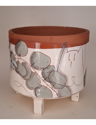 Grand cache pot chat