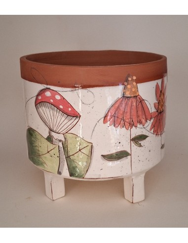 Grand cache pot chat