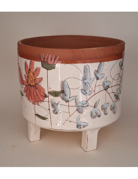 Grand cache pot chat