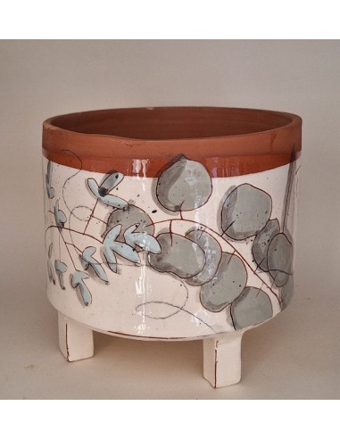 Grand cache pot chat